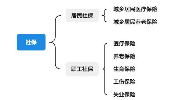 深圳个人社保怎么缴纳？深圳个人社保缴费多少钱？插图