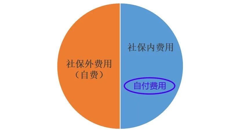 又一款不限病种的“重疾险”！很便宜，慢性病患者也可以投插图6