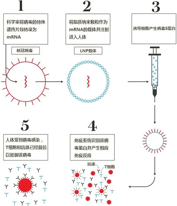 癌症疫苗可能会在2030年前问世？癌症防治的现状怎么样？插图4