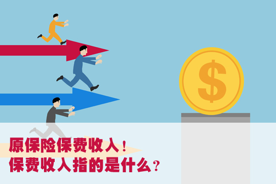 原保险费收入！原保险费收入是什么意思？插图2