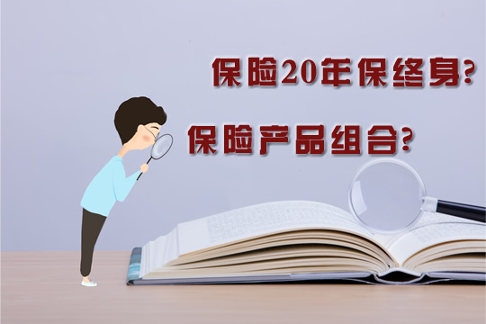 保险终身20年，保险产品组合插图