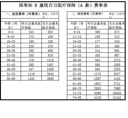 国寿保险百万医疗保险价格表插图4