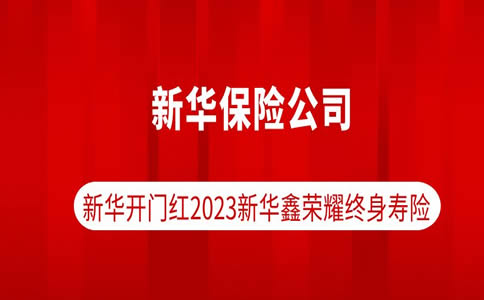 潍坊新华保险公司，潍坊新华保险有哪些新险？插图