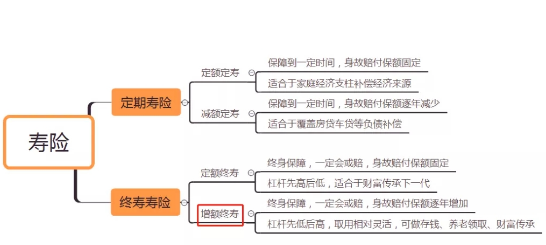 增额终身寿险一年要多少钱？对金额有严格限制吗插图