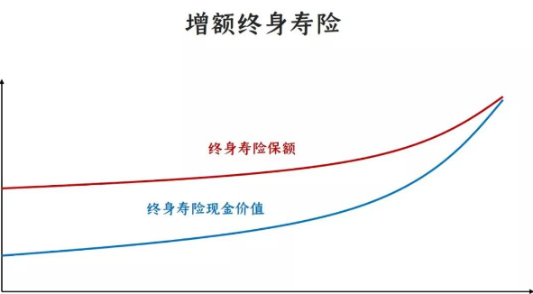 爱心人寿增额终身寿险适合年轻人买吗？插图