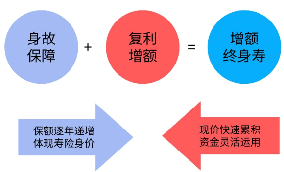 横琴传世赢家增额终身寿险条款具体有哪些？插图