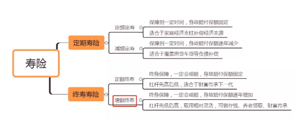 如何正确选择国内增额终身寿险插图