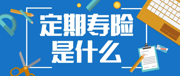 阳光全民保定期寿险怎么样需要全面掌握插图