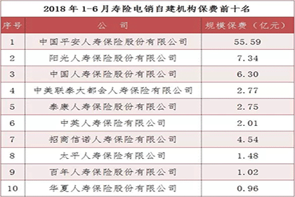 寿险电销哪家强？中保协公布上半年寿险电话营销保费排名插图4