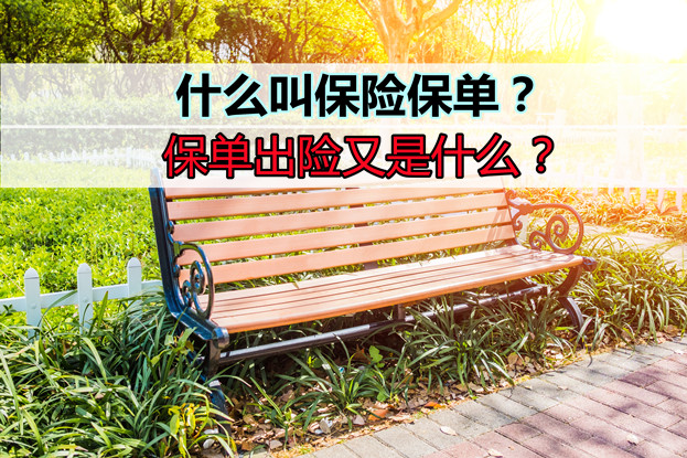 什么是保险单？保单出险是什么意思？插图