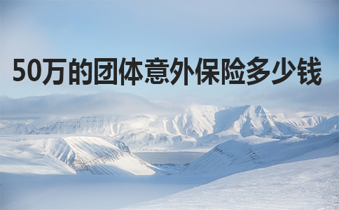 50万团体意外险多少钱，50万团体意外险最高保额多少钱？插图