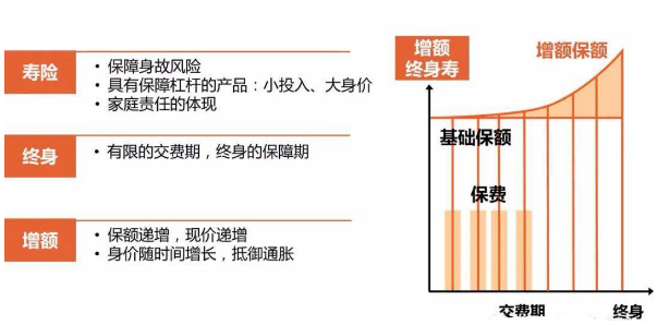 爱心守护神增额终身寿险收益高吗要根据情况进行分析插图