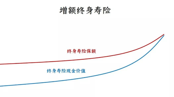 一款保额会长大的增额终身寿险你值得拥有插图