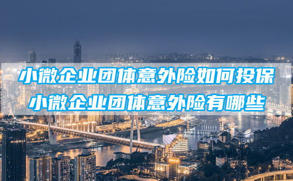 如何投保小微企业团体意外险，小微企业团体意外险有哪些？插图