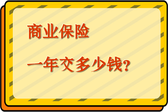 商业保险一年交多少钱？插图