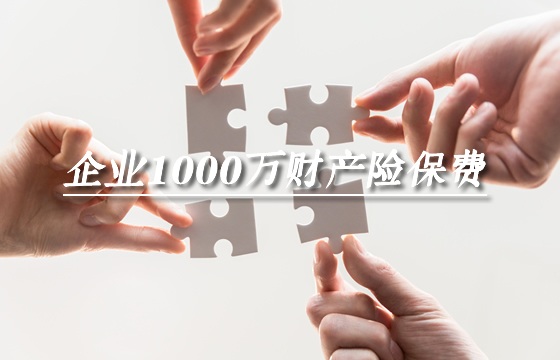 什么是企业1000万财产保险保费和企业财产保险？插图