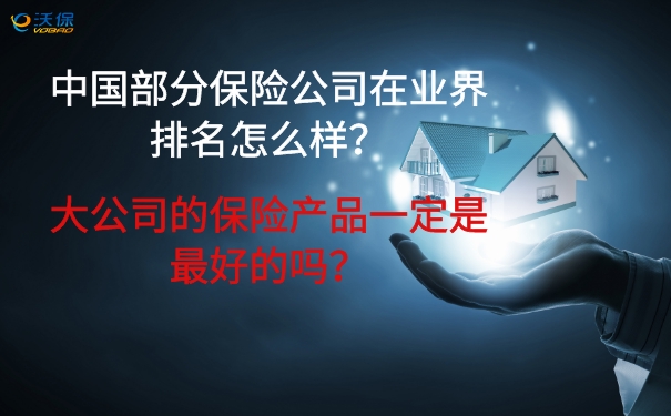 一些保险公司在行业排名？大公司的保险产品一定是最好的吗？插图