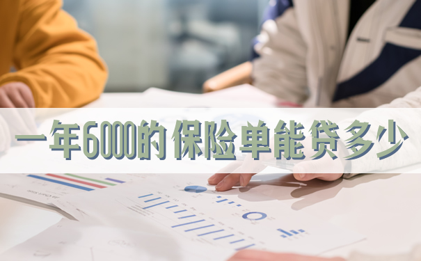 一年6000的保单能贷款多少？插图2