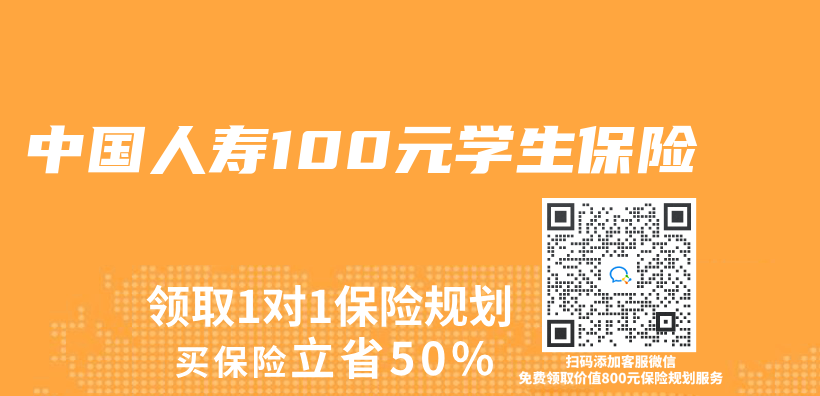 中国人寿100元学生保险插图