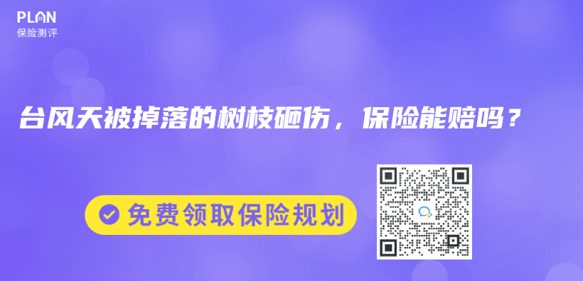 理赔时，哪些情况保险公司会严格调查？插图16