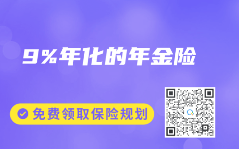 9%年化的年金险